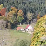 Im-berg