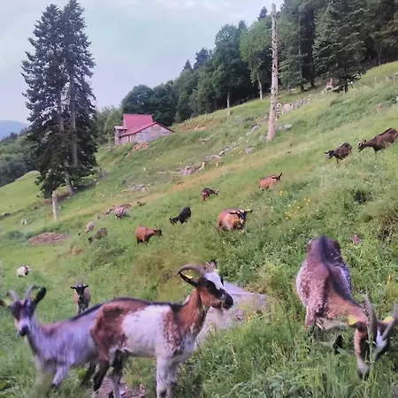 Bed & Breakfast Im-berg *