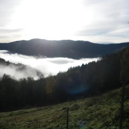 Im-berg * Metzeral
