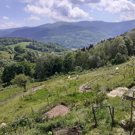 Bed & Breakfast Im-berg
