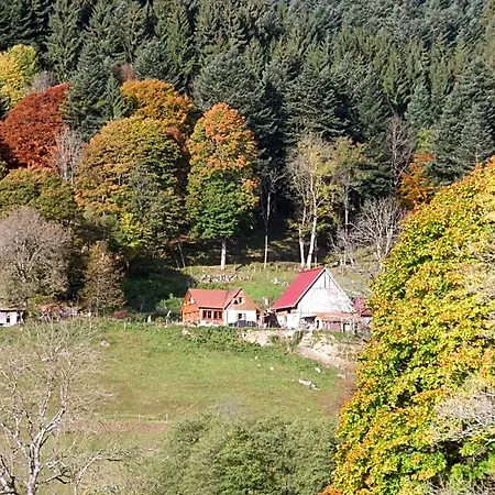 Frühstückspension Im-berg