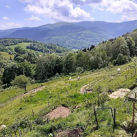 Frühstückspension Im-berg 3*