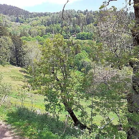 Im-berg Frühstückspension Metzeral
