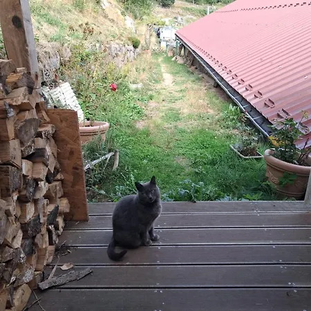 Bed & Breakfast Im-berg Metzeral